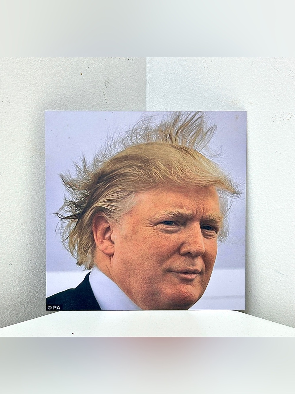 2016 Vtg Custom Made Design Lab Concept Swatch Donald Trump Placard